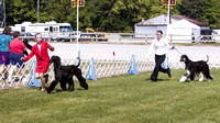 050911 Clermont County Kennel Club