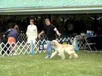 030325 Mid Kentucky Kennel Club