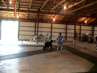 030913 Central Indiana Kennel Club