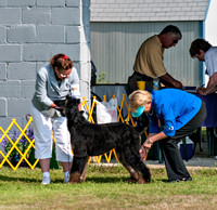 090809 Lorain County Kennel Club