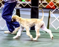 070127FunMatch018