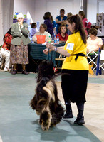 090418AHCGC0734.jpg