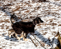 070304GroupSnow0017