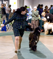 090418AHCGC0743.jpg