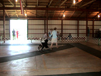 030913 Central Indiana Kennel Club