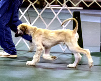 070127FunMatch019
