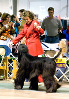 090418AHCGC0713.jpg