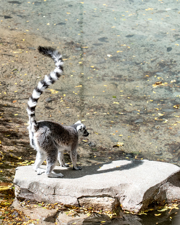 140913Zoo014