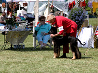 040530 Afghan Hound Club of Greater Detroit
