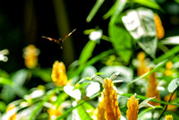20080614Zoo_013