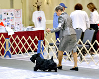 120331STCGD0482