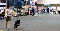 090917AHCA_0021
