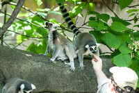 20080614Zoo_004