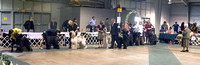 090418AHCGC0722.jpg