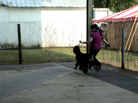 030601 Southern Indiana Kennel Club