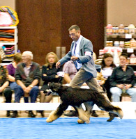 110926AHCA0042