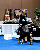 160401AHCSWO0037