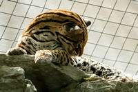20080614Zoo_018